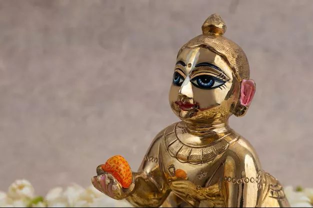 Laddu Gopal Krishna